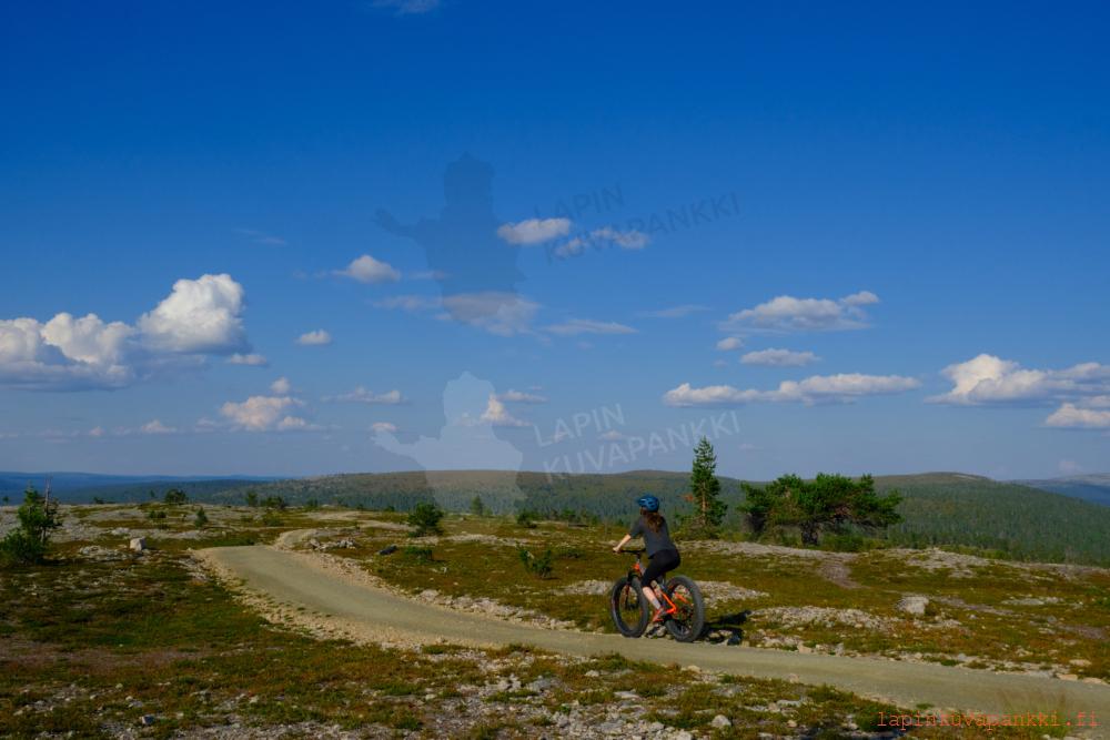 Kukastunturi pyöräilijä